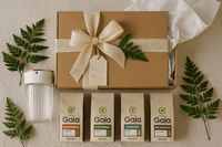 Fresh Roasters Sampler & Jura Milk Carafe featuring coffee bags and a stylish jar, perfect for coffee lovers.
