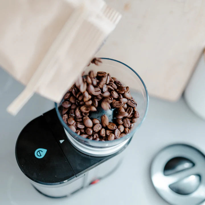 Grosche BREMEN Electric Burr Coffee Grinder